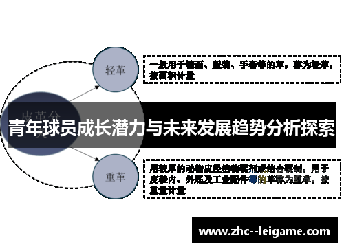 青年球员成长潜力与未来发展趋势分析探索